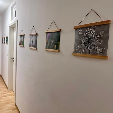 Nest76 شقة